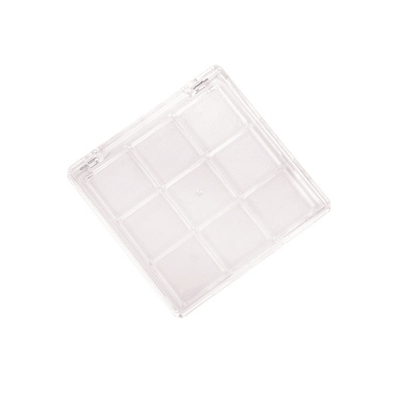 2025-10 Estuche de sombras de ojos Coral Square 10 Grids